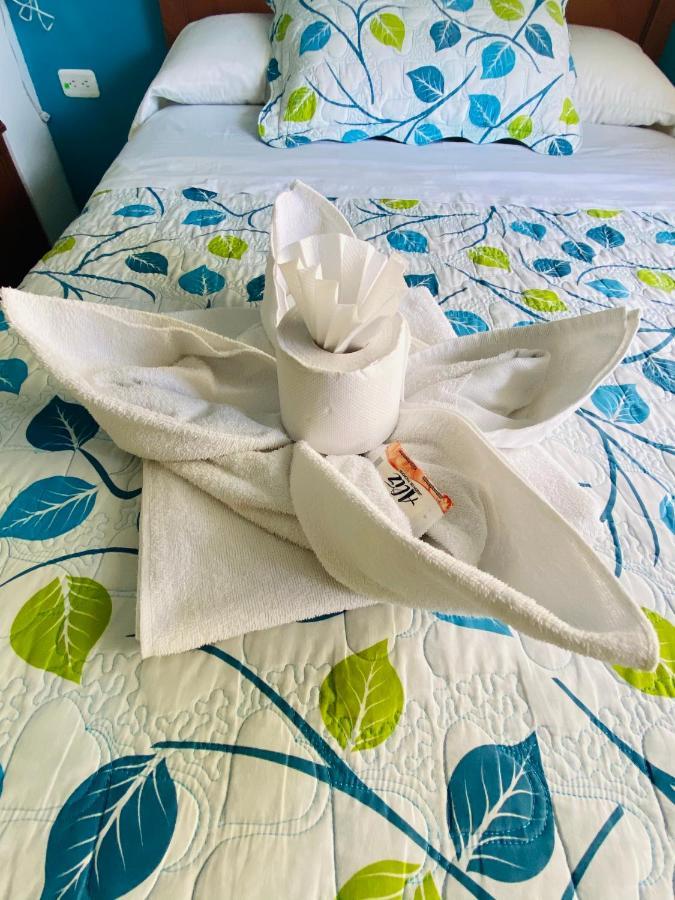 Hostal Grand Rio バーニョス エクステリア 写真